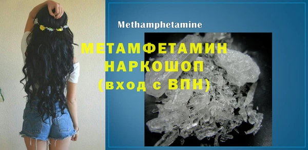 сатива Каменка