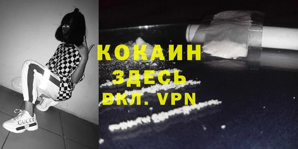 ПСИЛОЦИБИНОВЫЕ ГРИБЫ Абаза