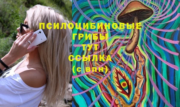 ПСИЛОЦИБИНОВЫЕ ГРИБЫ Абаза