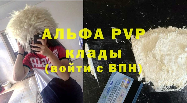 ПСИЛОЦИБИНОВЫЕ ГРИБЫ Абаза